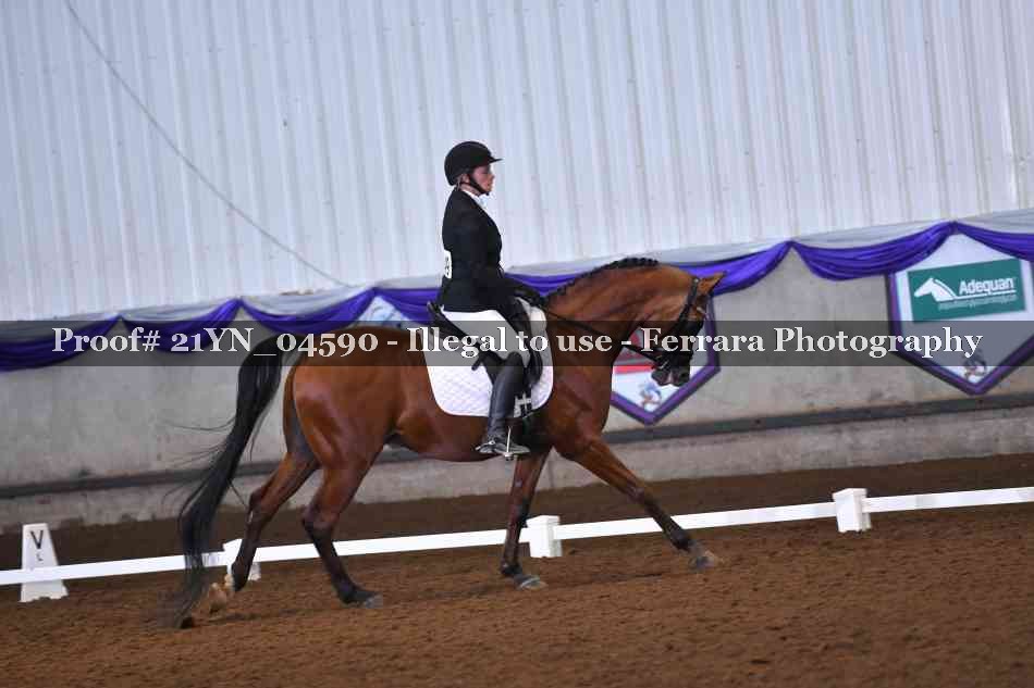 Proof 21YN_04590