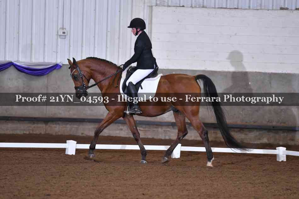 Proof 21YN_04593