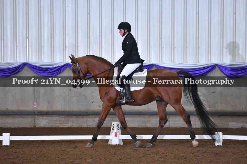 Proof 21YN_04599