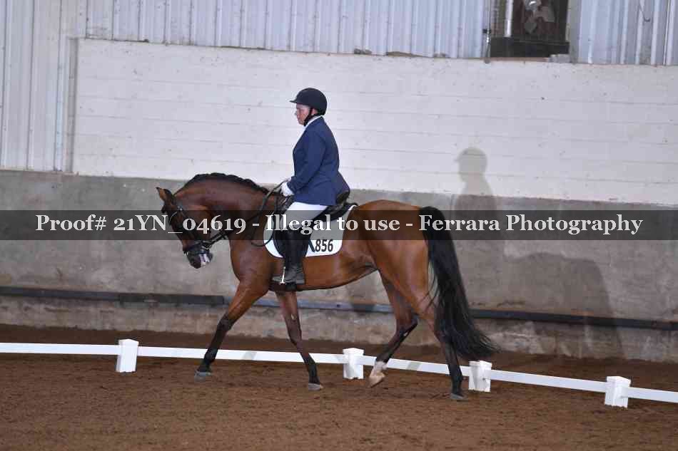 Proof 21YN_04619