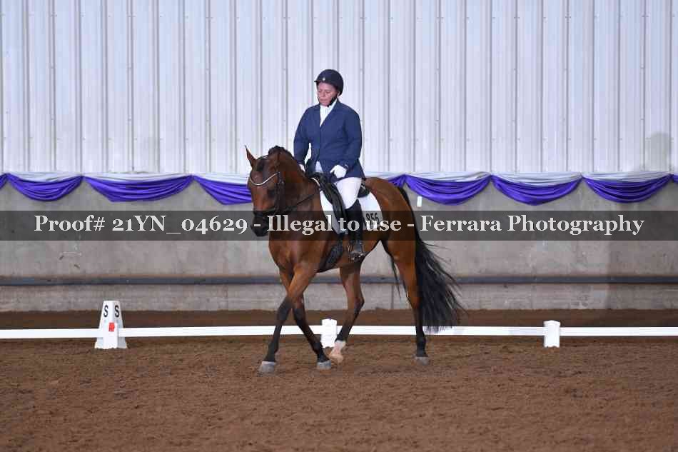 Proof 21YN_04629