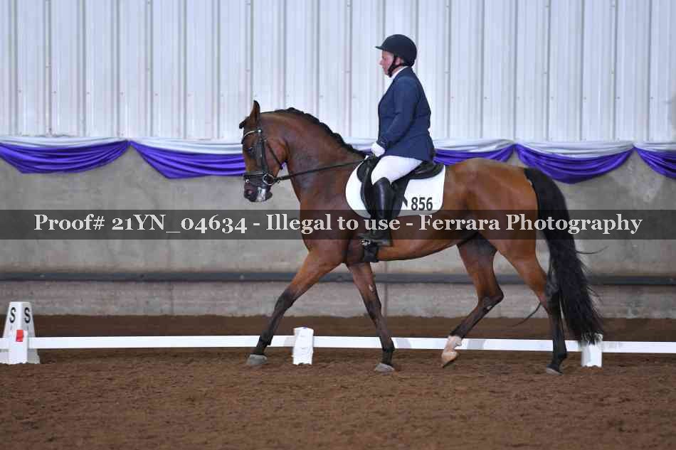 Proof 21YN_04634