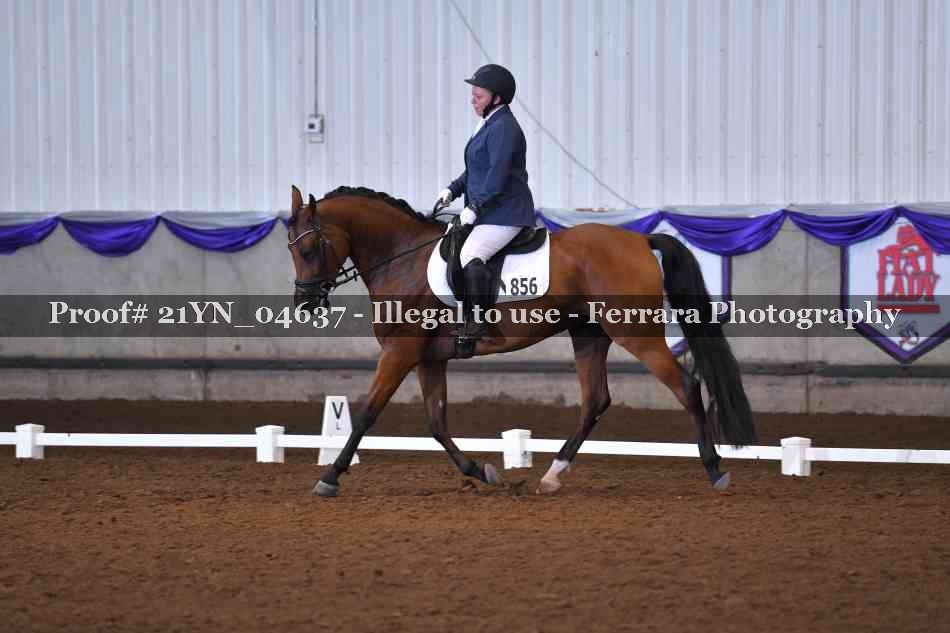 Proof 21YN_04637