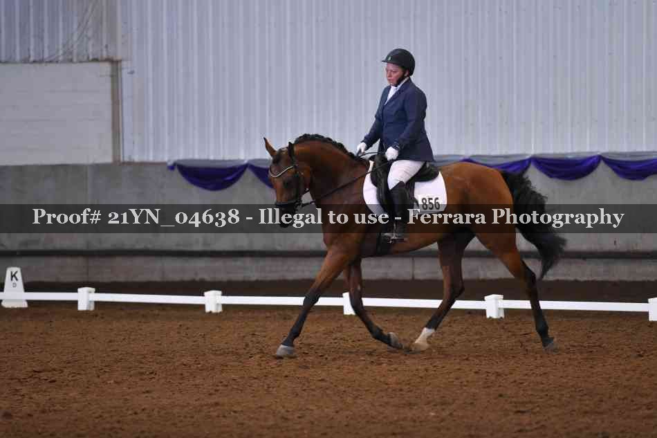 Proof 21YN_04638