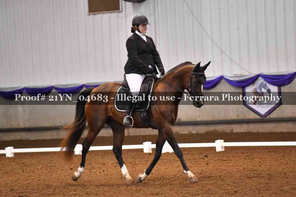 Proof 21YN_04683