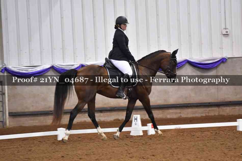 Proof 21YN_04687
