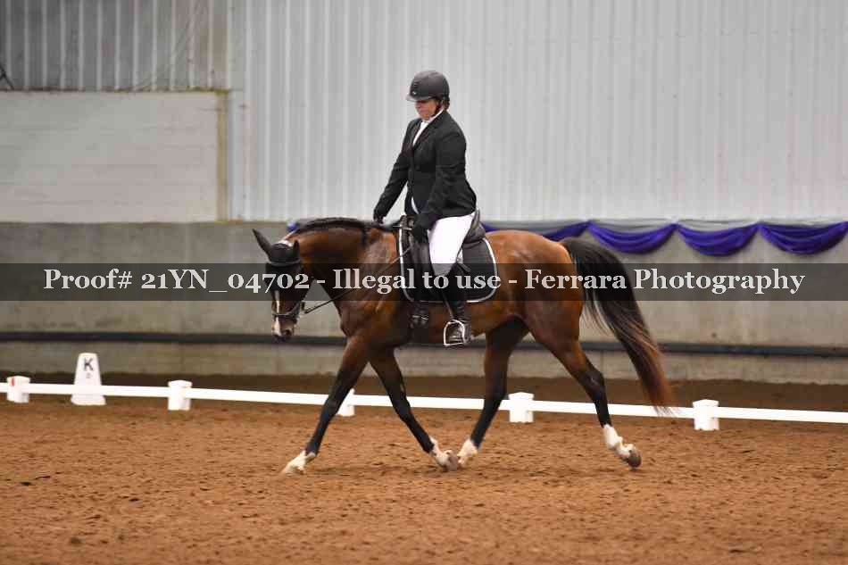 Proof 21YN_04702