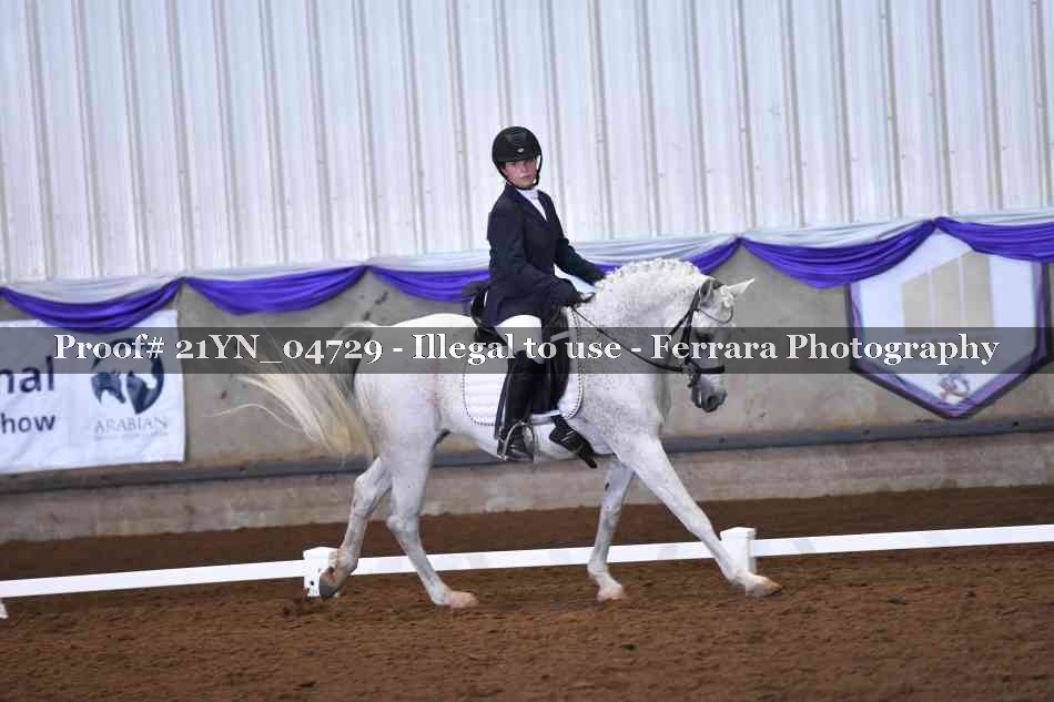 Proof 21YN_04729