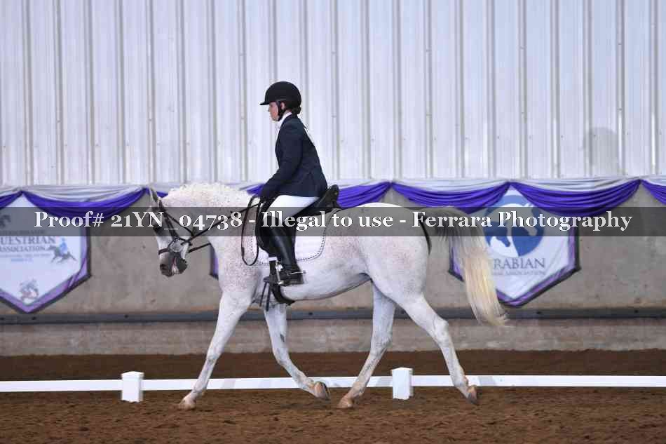 Proof 21YN_04738