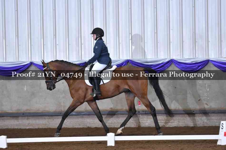 Proof 21YN_04749