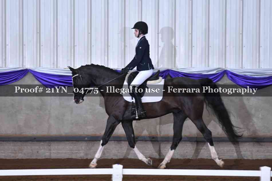Proof 21YN_04775