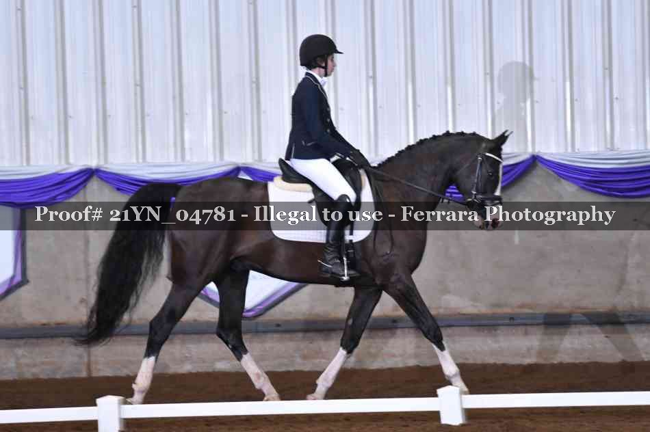 Proof 21YN_04781