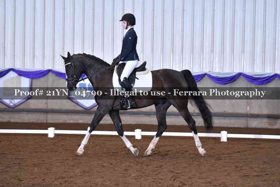 Proof 21YN_04790