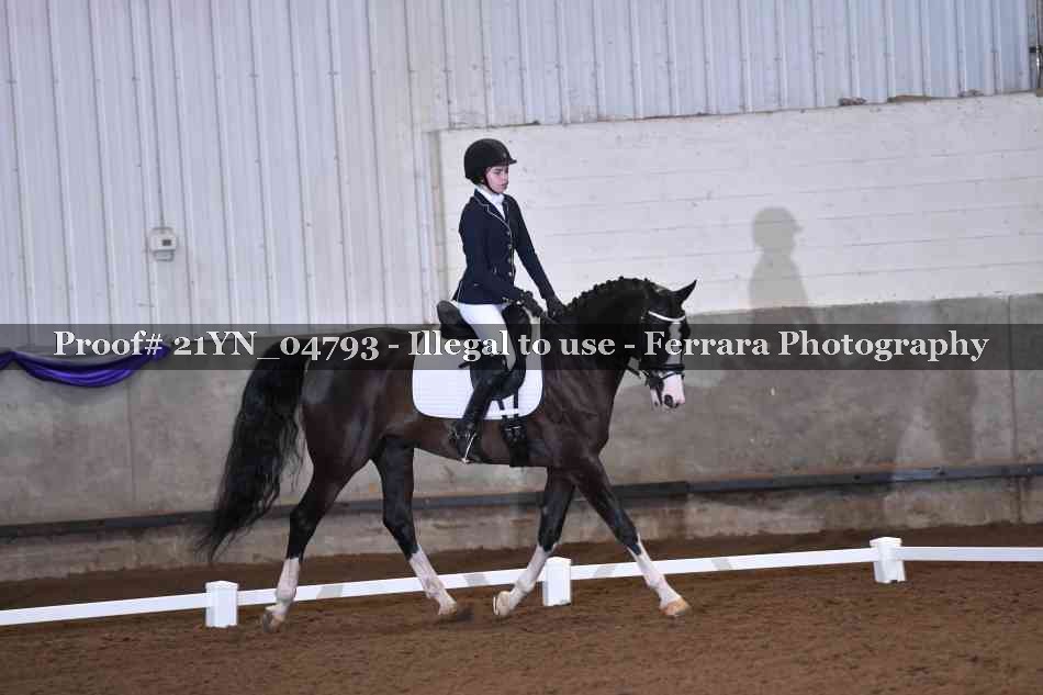 Proof 21YN_04793