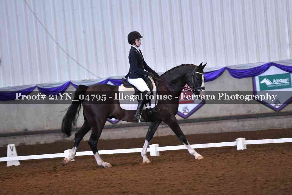 Proof 21YN_04795