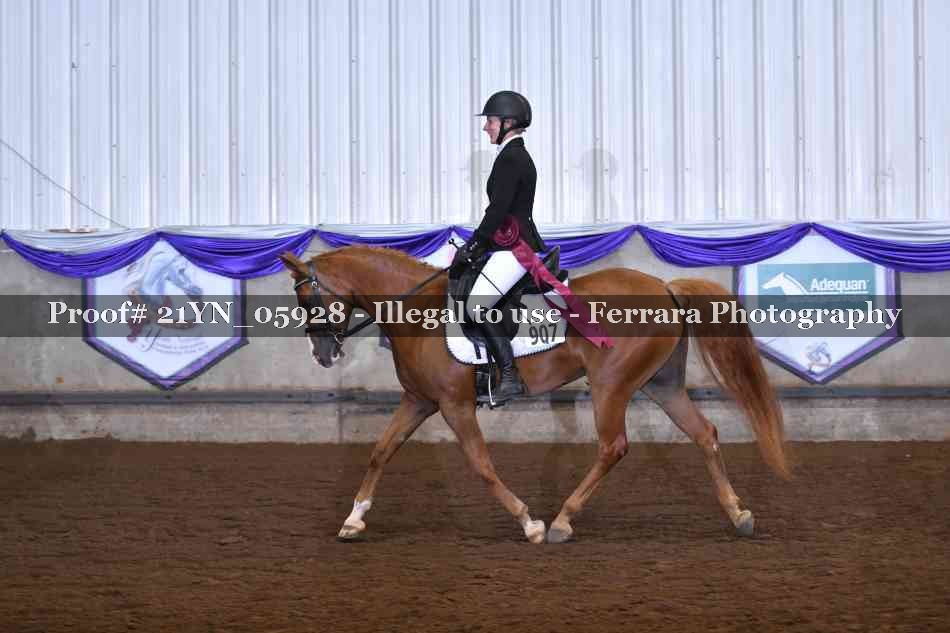 Proof 21YN_05928