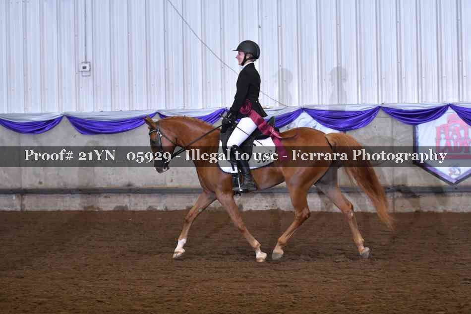 Proof 21YN_05929