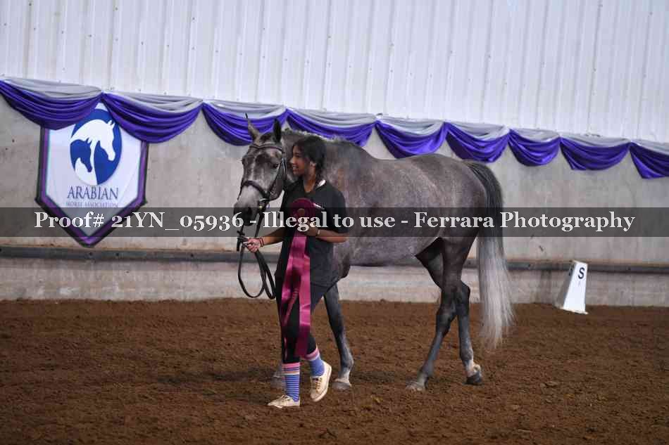 Proof 21YN_05936