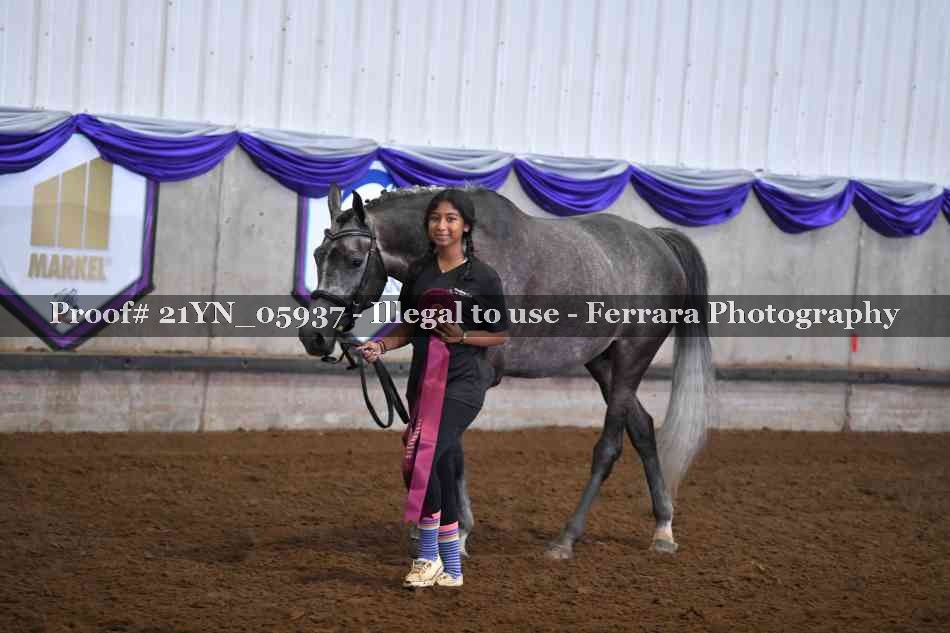 Proof 21YN_05937