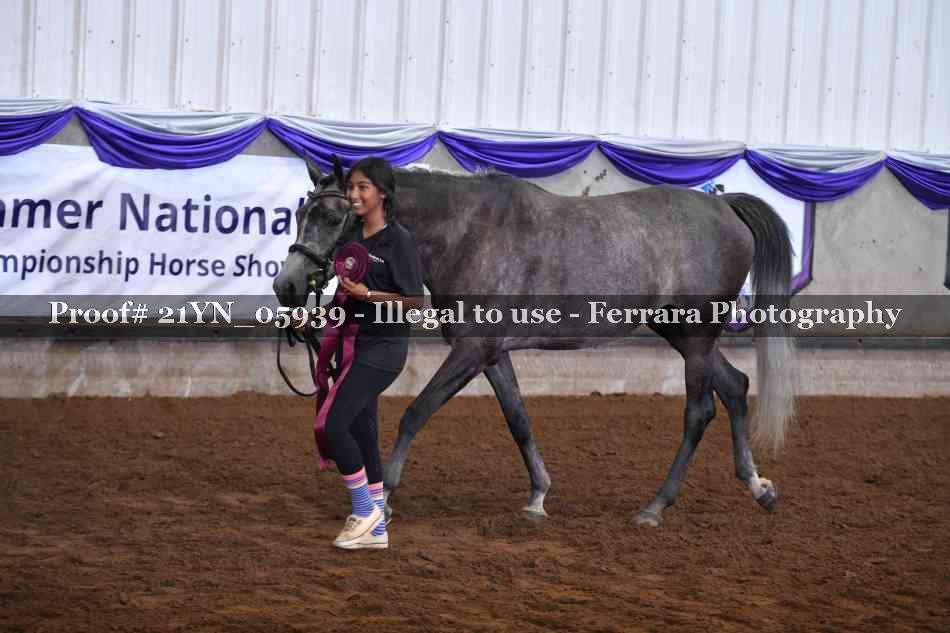 Proof 21YN_05939