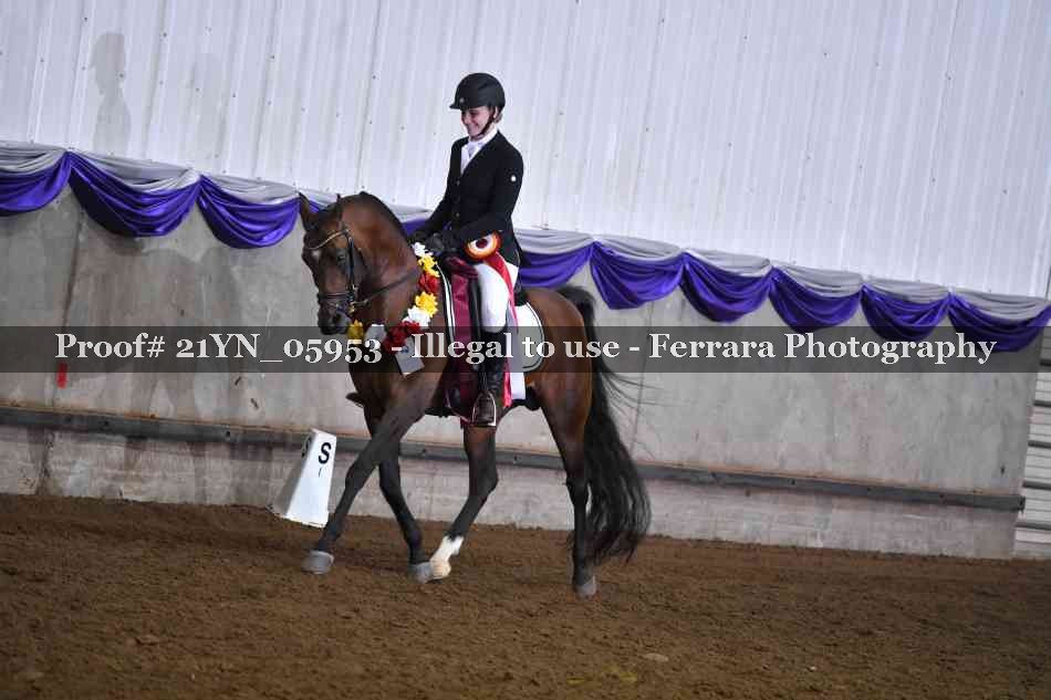 Proof 21YN_05953