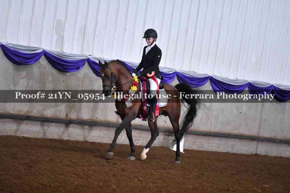 Proof 21YN_05954