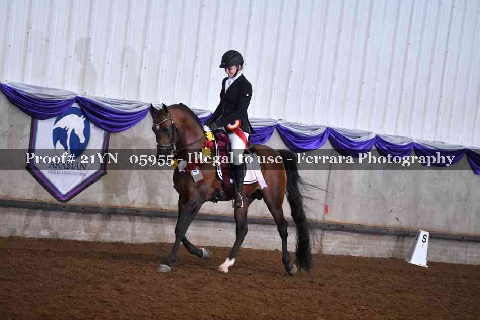 Proof 21YN_05955