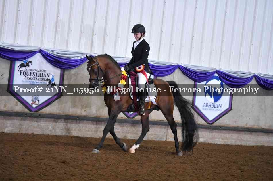 Proof 21YN_05956
