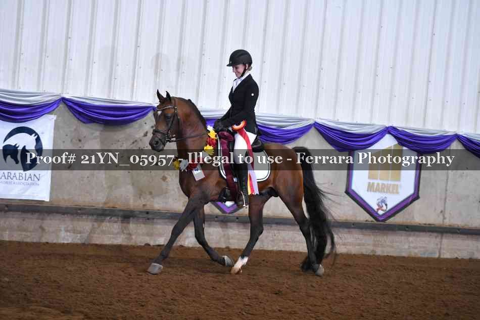 Proof 21YN_05957