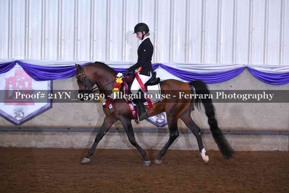 Proof 21YN_05959