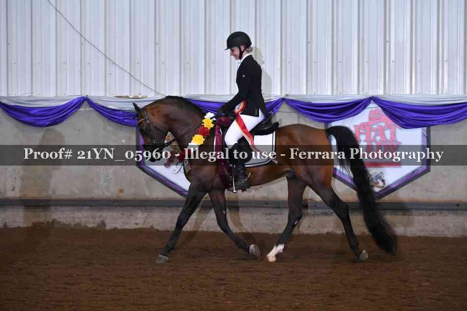 Proof 21YN_05960