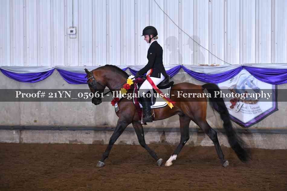 Proof 21YN_05961