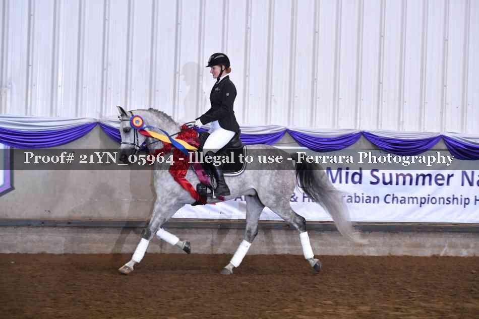 Proof 21YN_05964