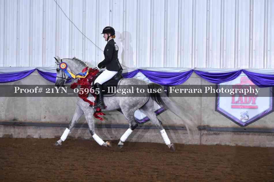 Proof 21YN_05965