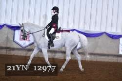 21YN_12977 proof