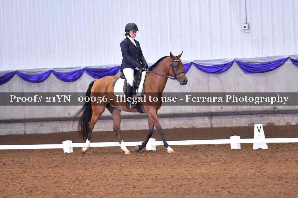 Proof 21YN_00056