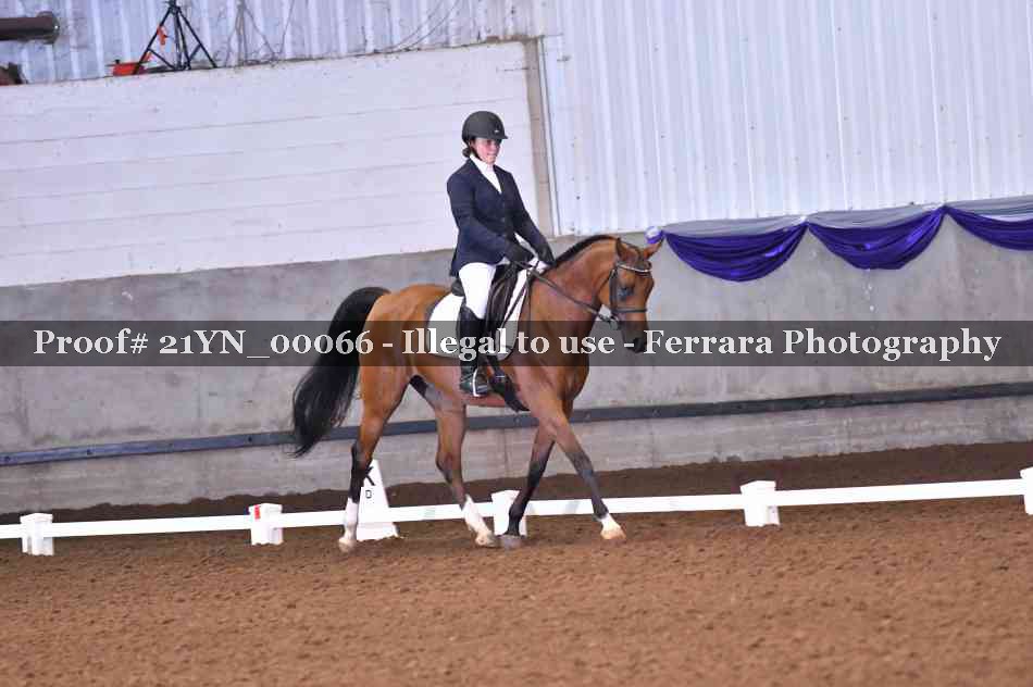 Proof 21YN_00066