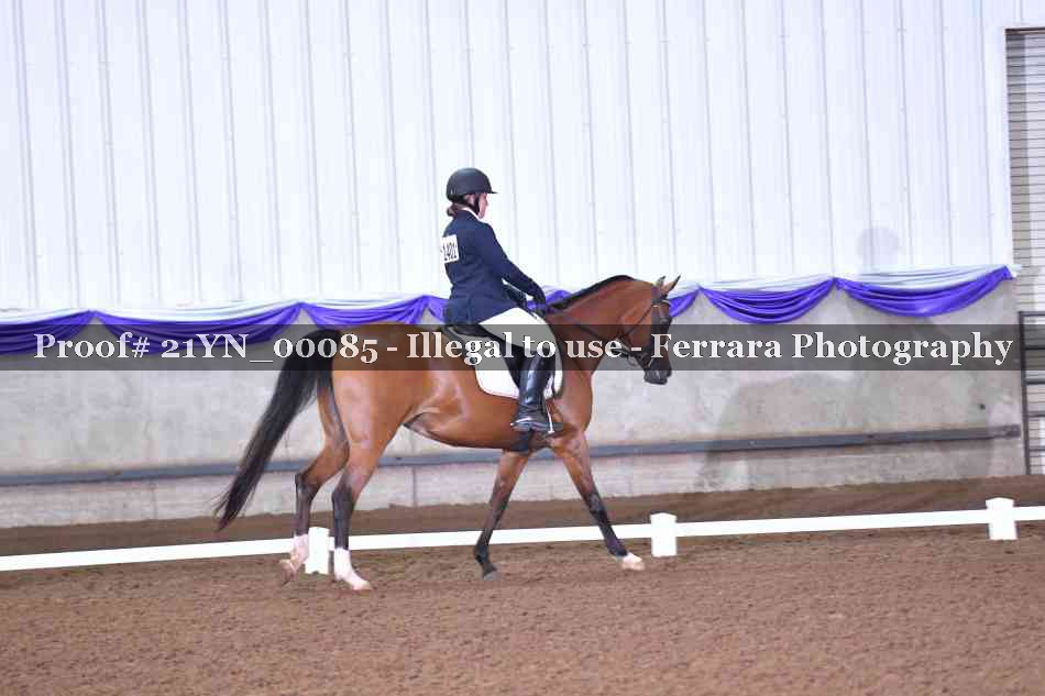 Proof 21YN_00085