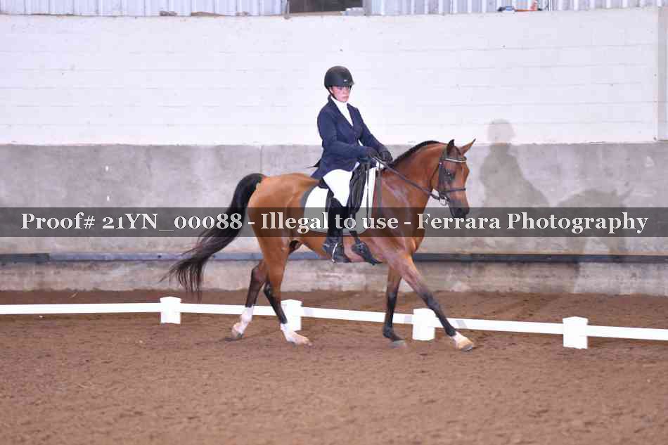 Proof 21YN_00088