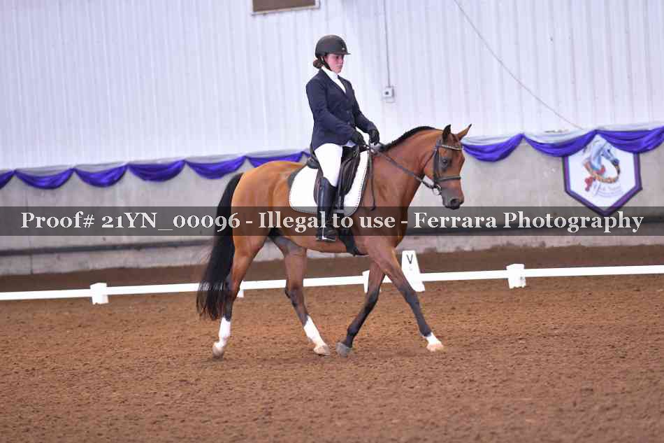 Proof 21YN_00096