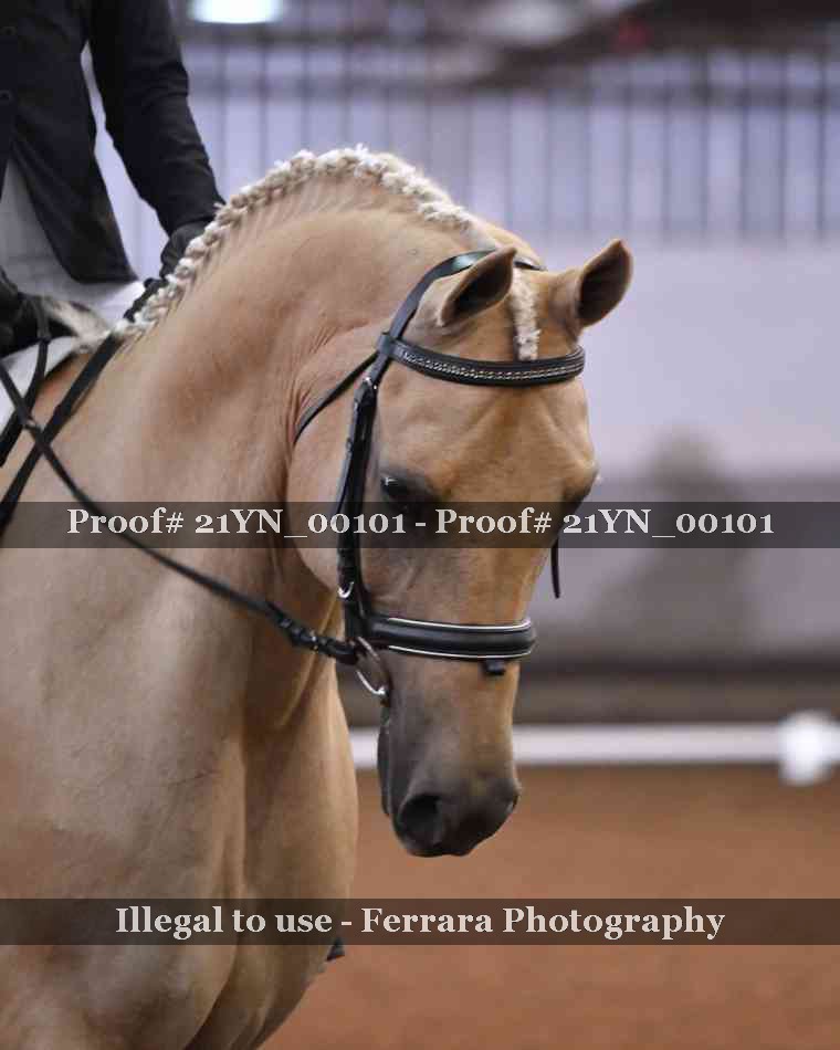 Proof 21YN_00101
