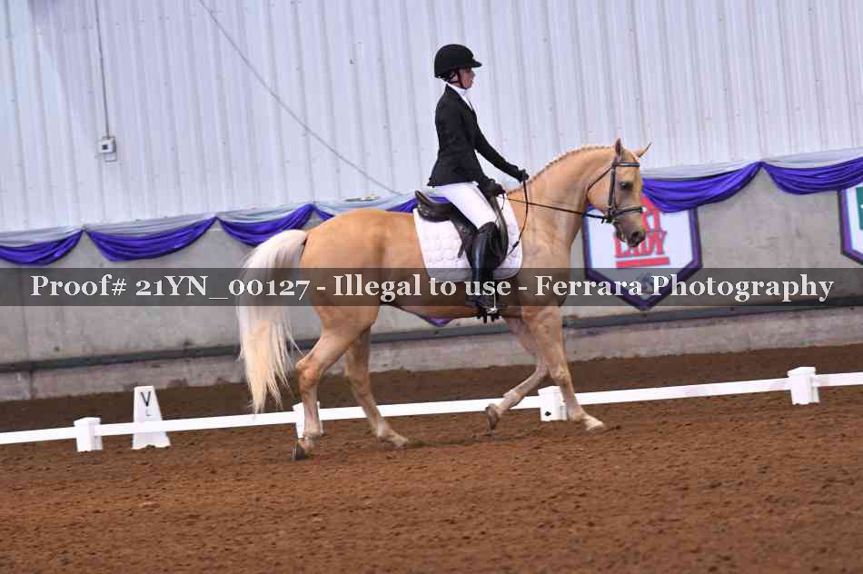 Proof 21YN_00127