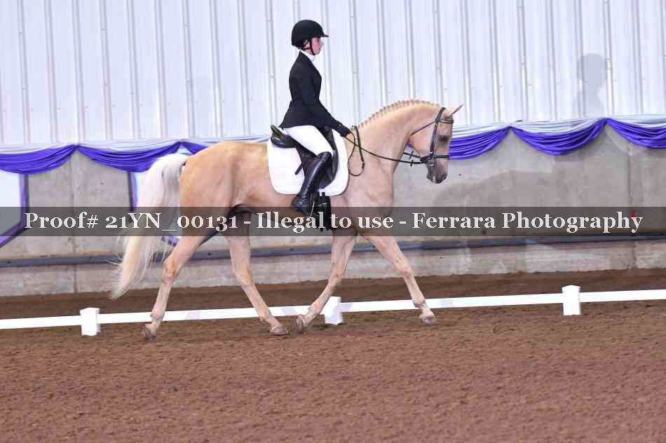 Proof 21YN_00131