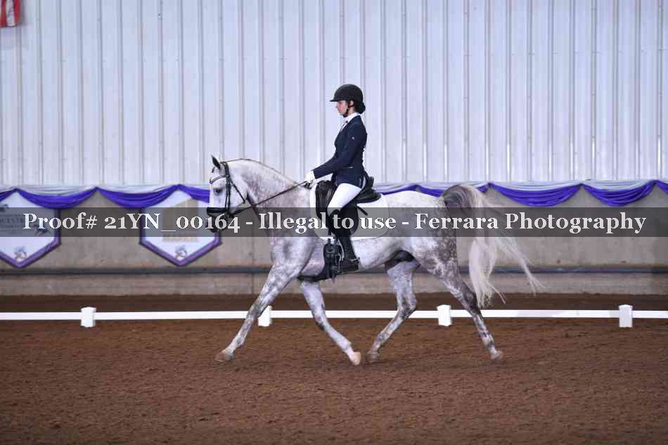 Proof 21YN_00164