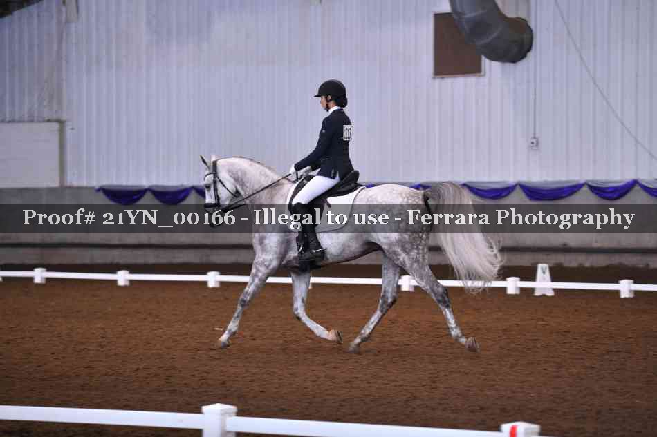 Proof 21YN_00166