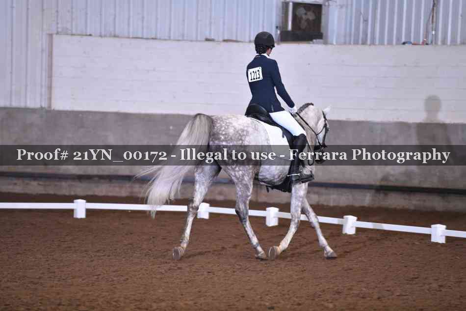 Proof 21YN_00172