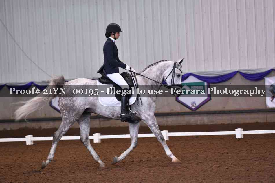 Proof 21YN_00195