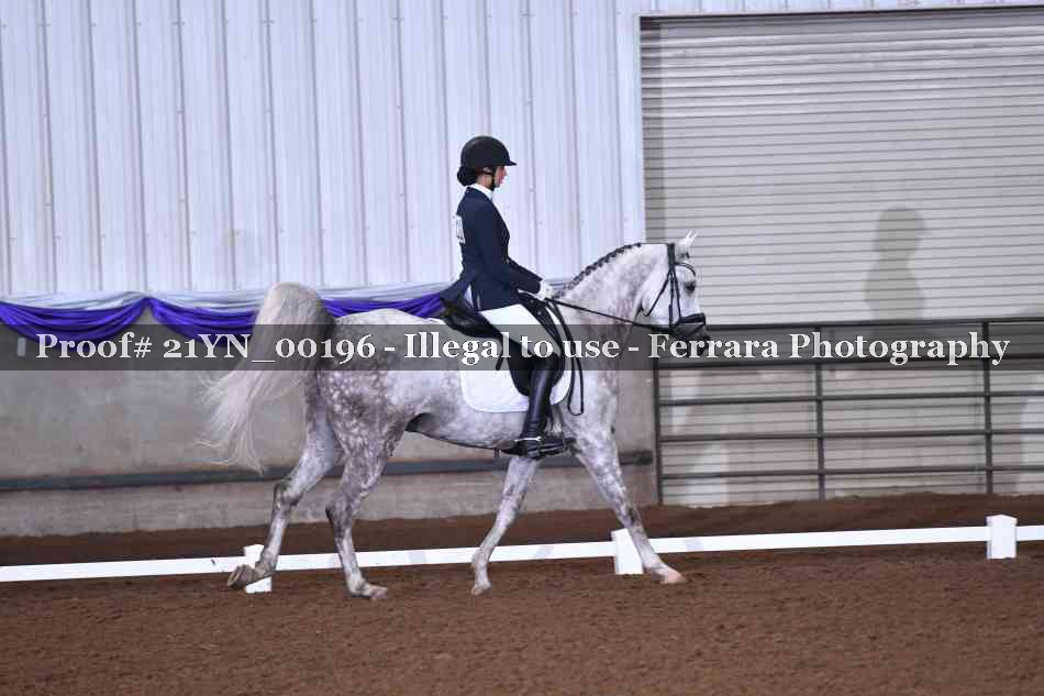 Proof 21YN_00196