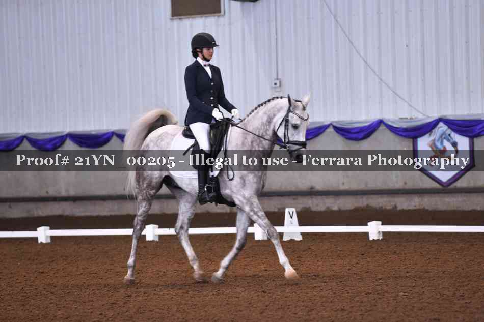 Proof 21YN_00205