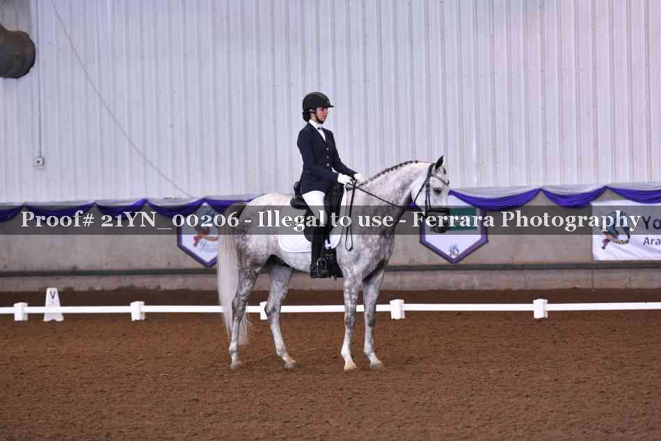 Proof 21YN_00206